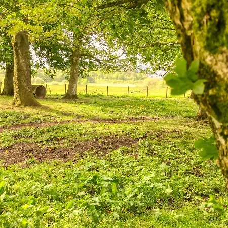 Konukevi Bessiestown Country 5*