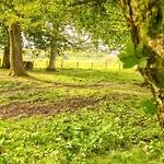 Gæstehus Bessiestown Country 5*